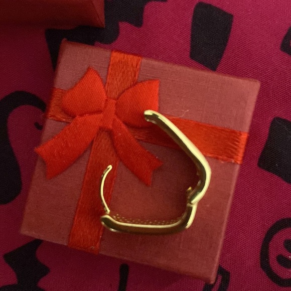 Sparkly Hinged Earrings - Picture 3 of 7